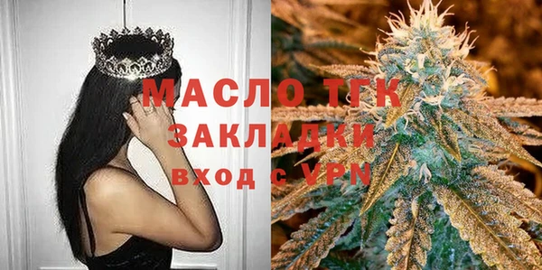 таблы Гусев