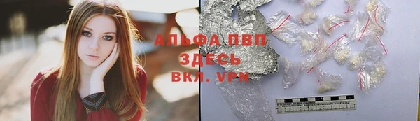 таблы Гусев