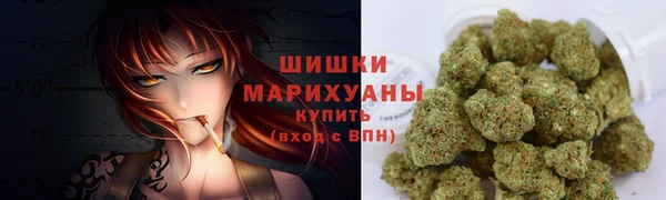МДПВ Гусиноозёрск