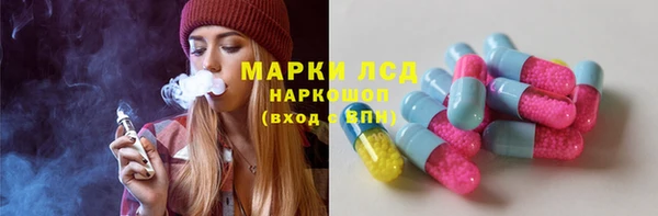 таблы Гусев