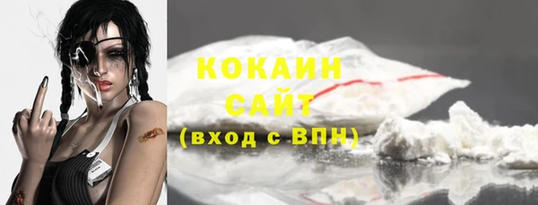 таблы Гусев