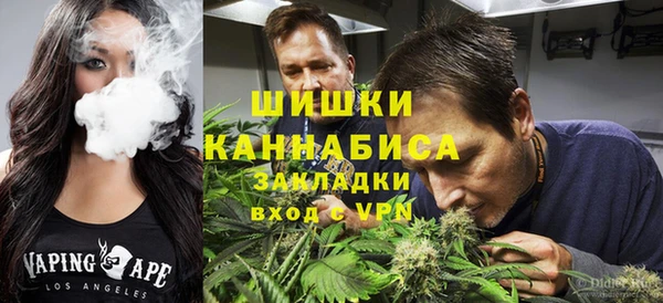 spice Гусь-Хрустальный