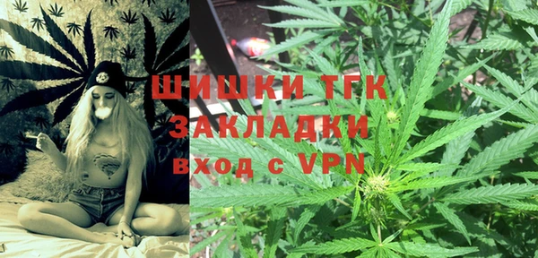 таблы Гусев